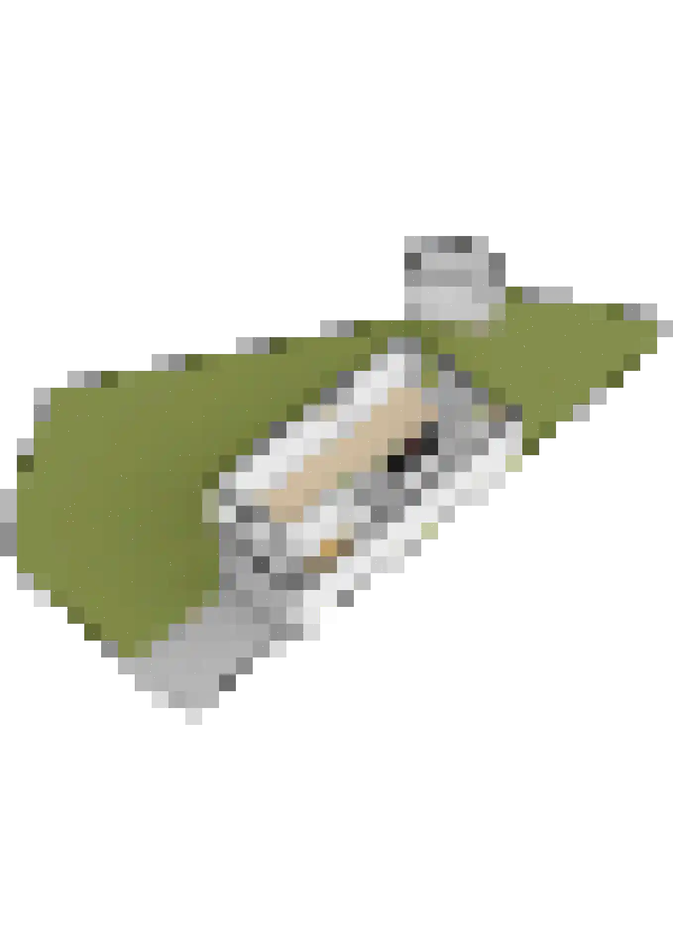 Lindenlaan 1 Lisse thumbnail 60