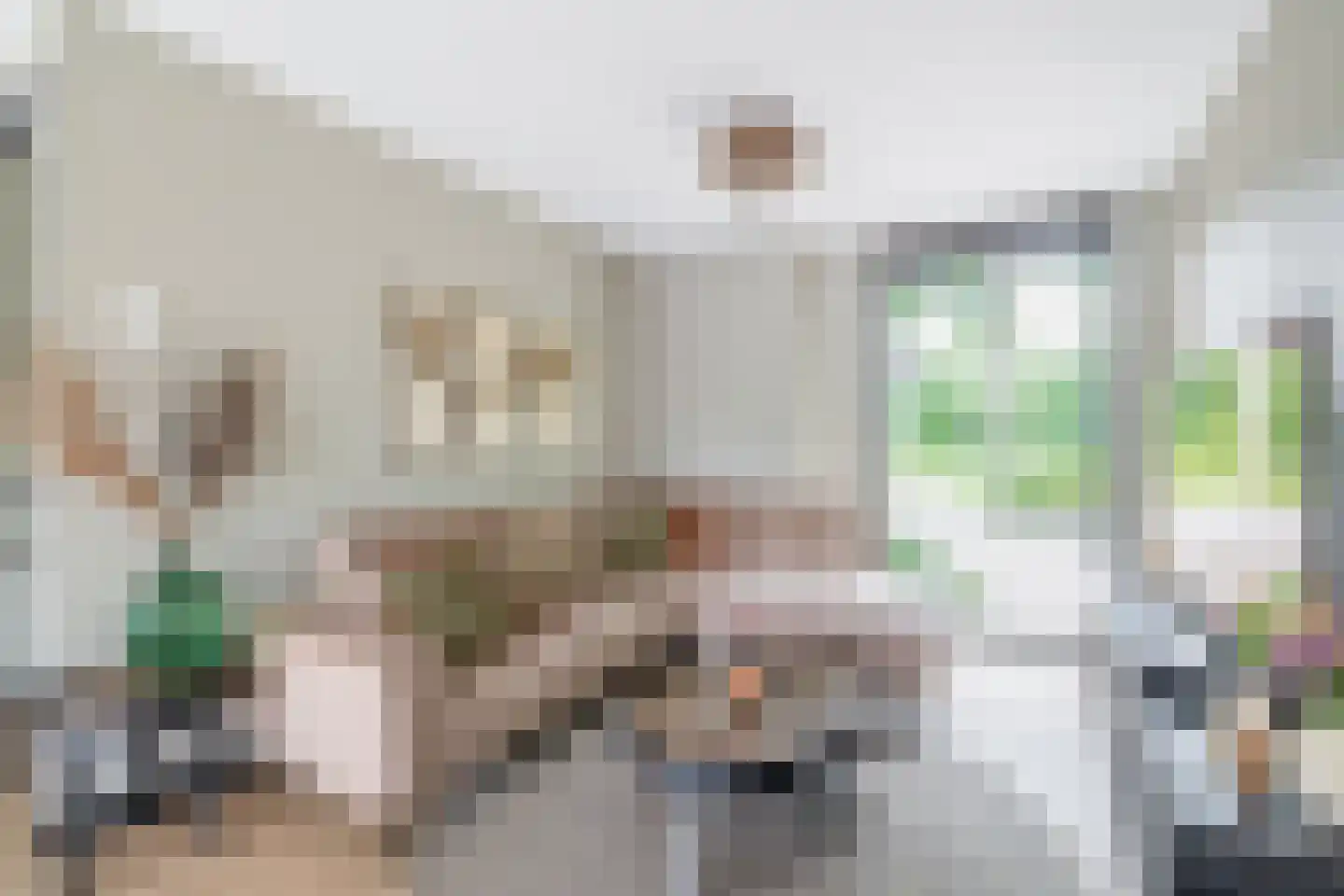 Lindenlaan 1 Lisse thumbnail 8