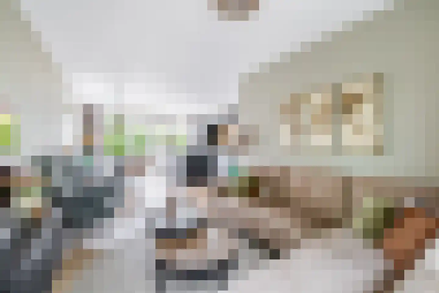 Lindenlaan 1 Lisse thumbnail 9