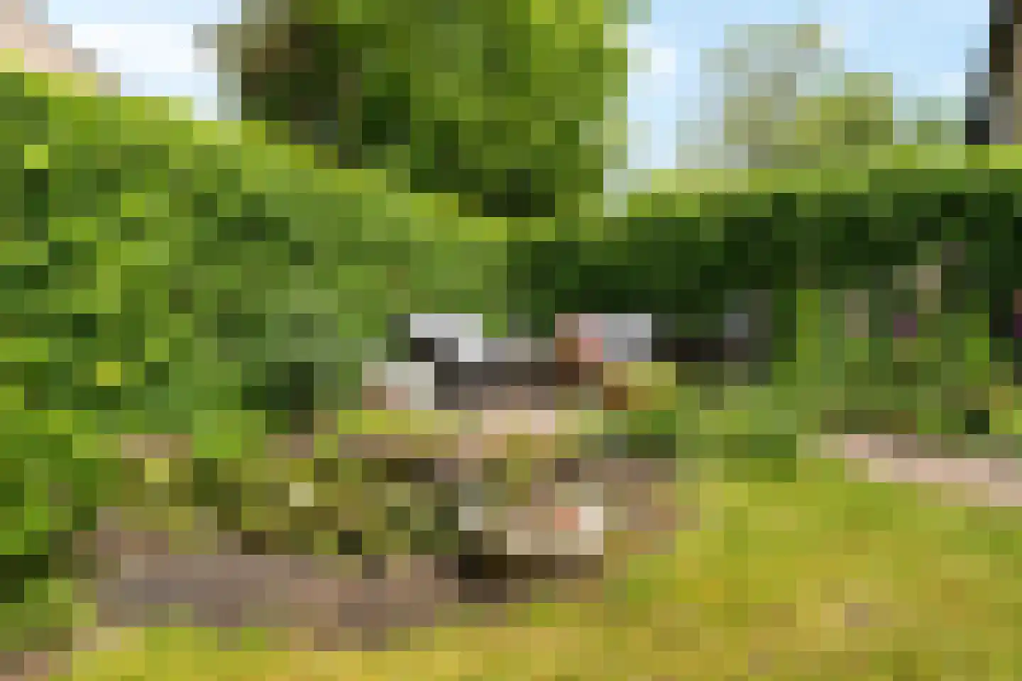 Lindenlaan 1 Maarn thumbnail 36