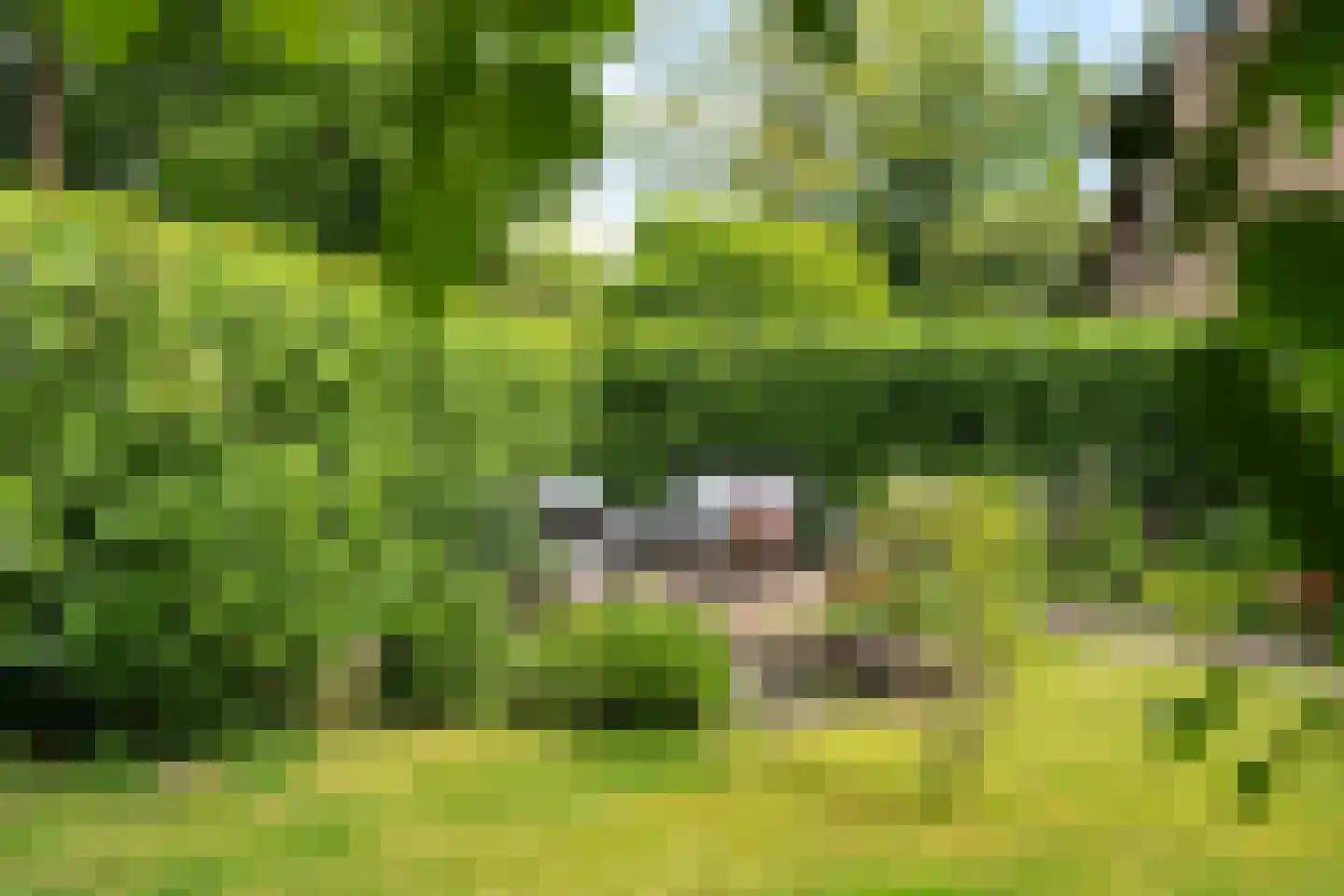 Lindenlaan 1 Maarn thumbnail 39