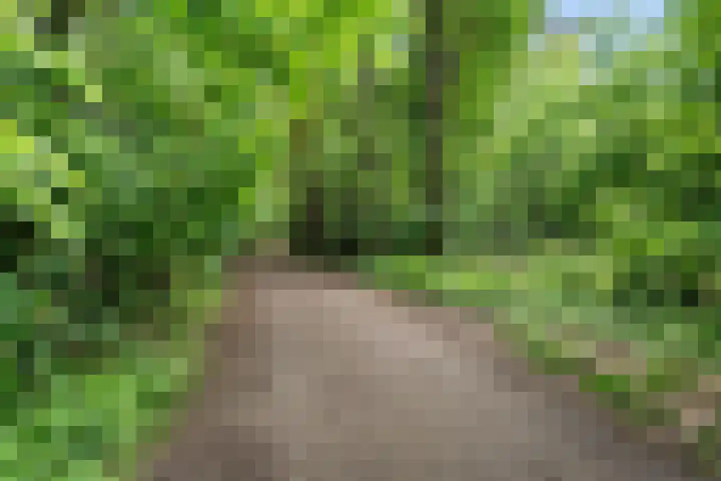Lindenlaan 1 Maarn thumbnail 44