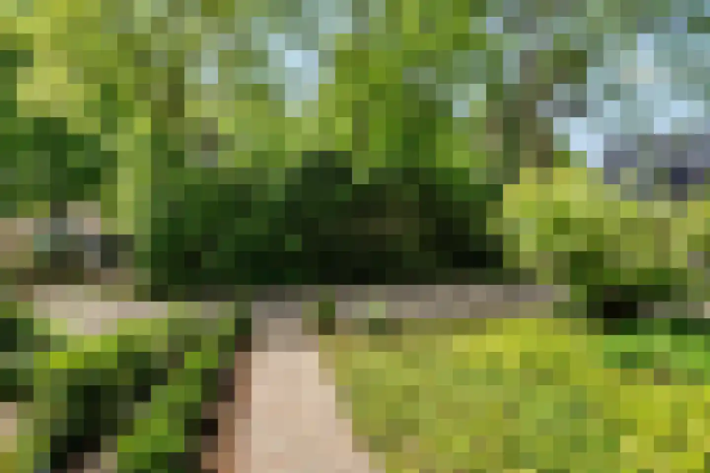 Lindenlaan 1 Maarn thumbnail 7