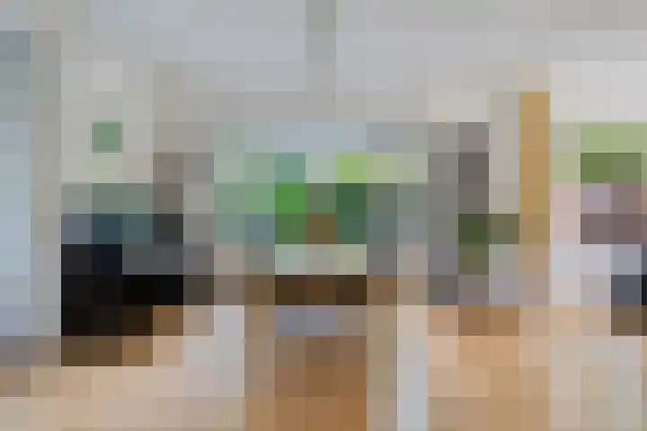 Lindenlaan 1 Sneek thumbnail 10