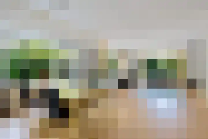 Lindenlaan 1 Sneek thumbnail 11