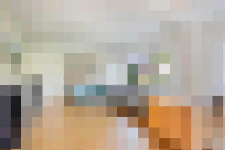 Lindenlaan 1 Sneek thumbnail 12