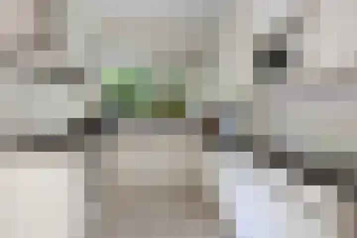Lindenlaan 1 Sneek thumbnail 15