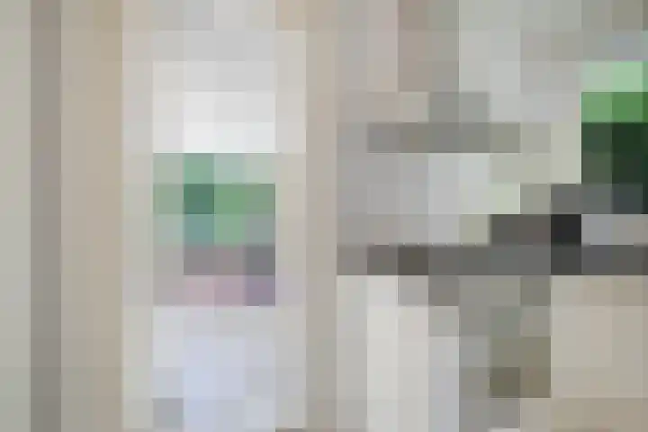 Lindenlaan 1 Sneek thumbnail 16