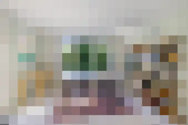 Lindenlaan 1 Sneek thumbnail 17