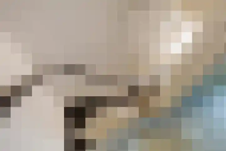 Lindenlaan 1 Sneek thumbnail 18