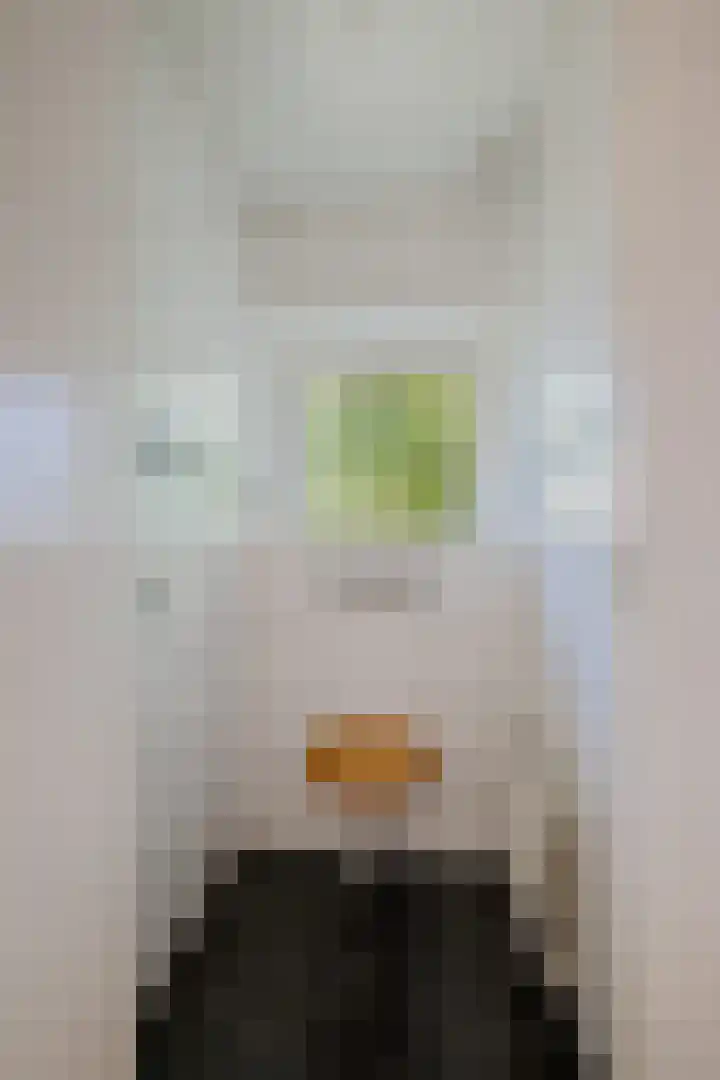 Lindenlaan 1 Sneek thumbnail 22