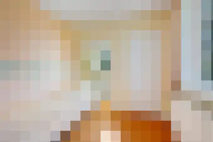 Lindenlaan 1 Sneek thumbnail 30