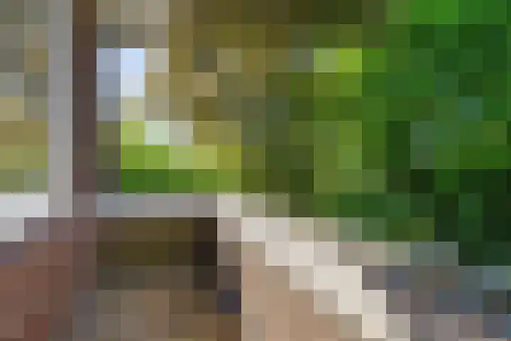 Lindenlaan 1 Sneek thumbnail 32