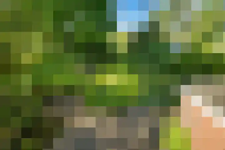 Lindenlaan 1 Sneek thumbnail 33