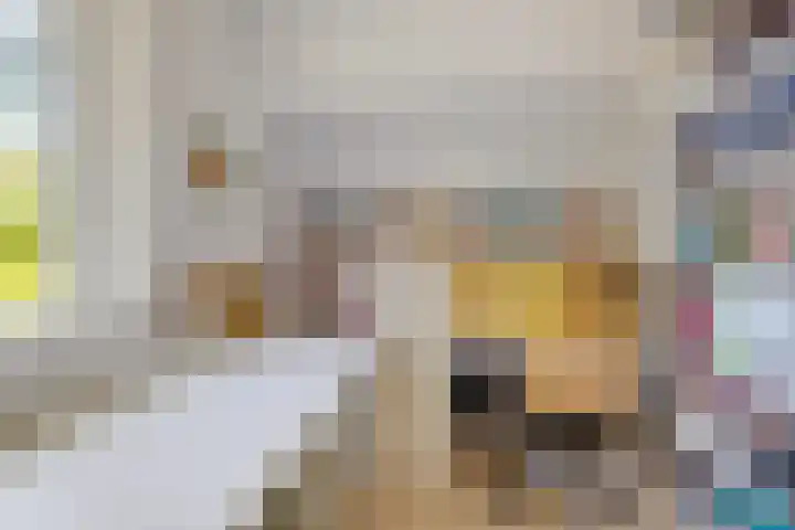 Lindenlaan 1 Sneek thumbnail 34