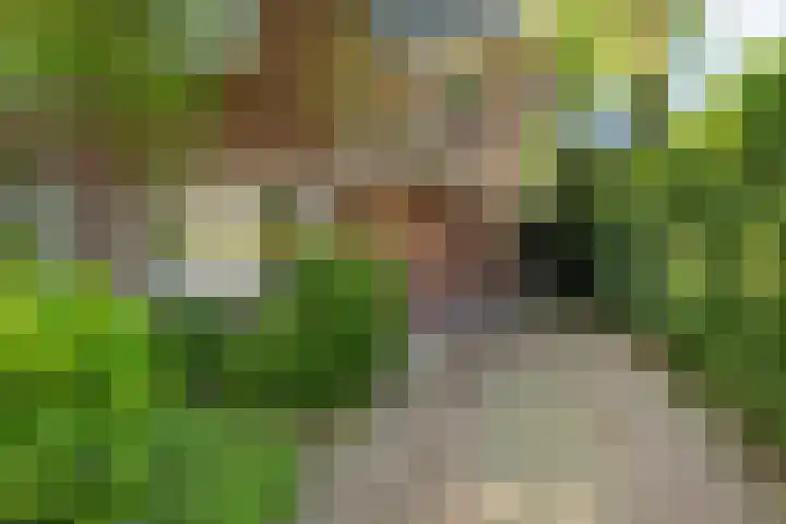 Lindenlaan 1 Sneek thumbnail 38