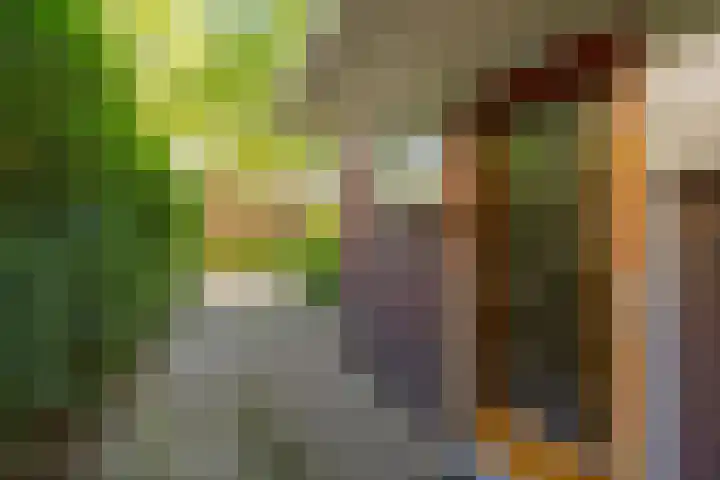 Lindenlaan 1 Sneek thumbnail 39