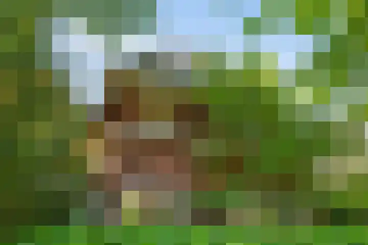 Lindenlaan 1 Sneek thumbnail 4
