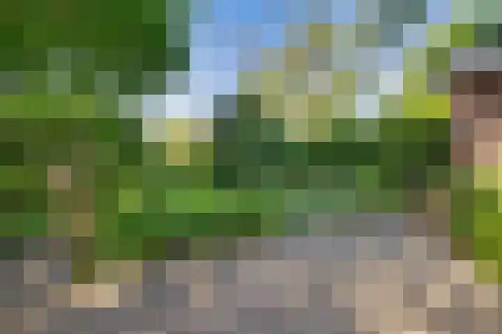 Lindenlaan 1 Sneek thumbnail 40