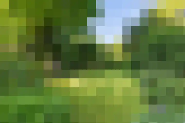 Lindenlaan 1 Sneek thumbnail 41