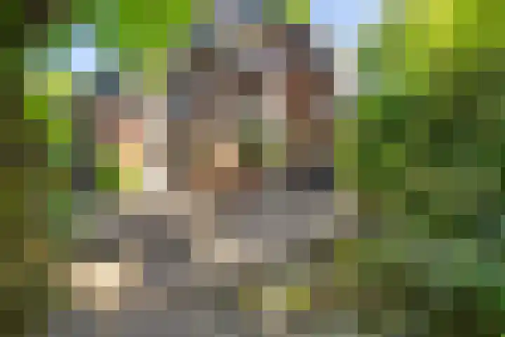 Lindenlaan 1 Sneek thumbnail 43