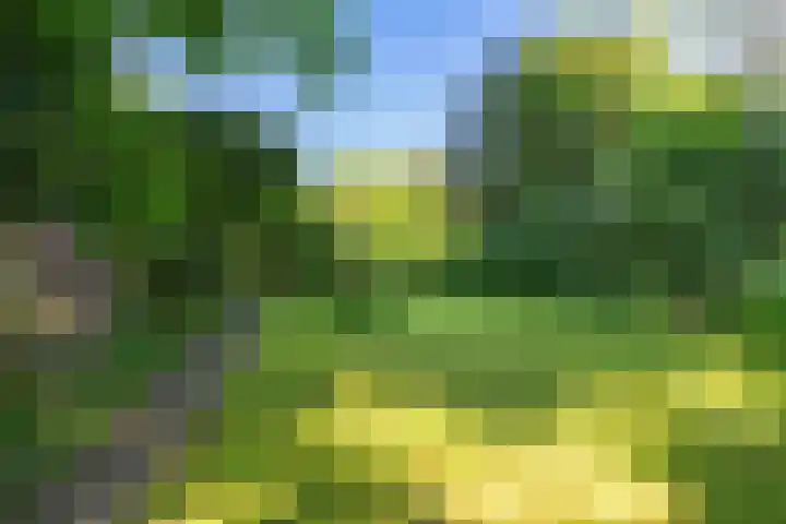 Lindenlaan 1 Sneek thumbnail 44