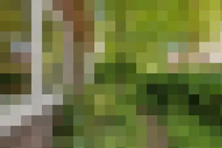 Lindenlaan 1 Sneek thumbnail 46