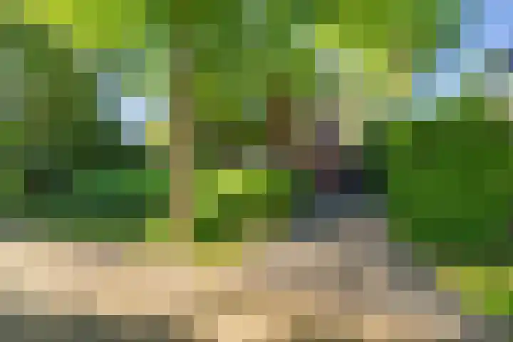 Lindenlaan 1 Sneek thumbnail 47