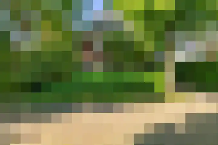 Lindenlaan 1 Sneek thumbnail 48