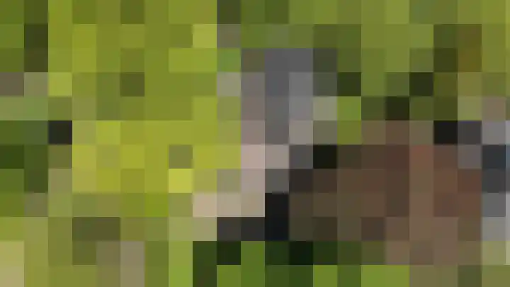 Lindenlaan 1 Sneek thumbnail 49