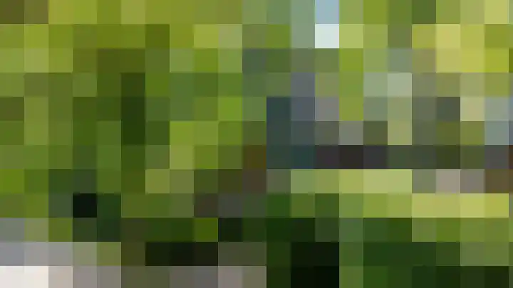 Lindenlaan 1 Sneek thumbnail 50