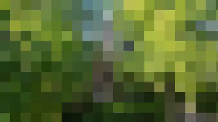 Lindenlaan 1 Sneek thumbnail 51