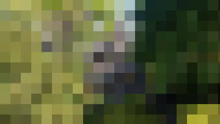 Lindenlaan 1 Sneek thumbnail 54