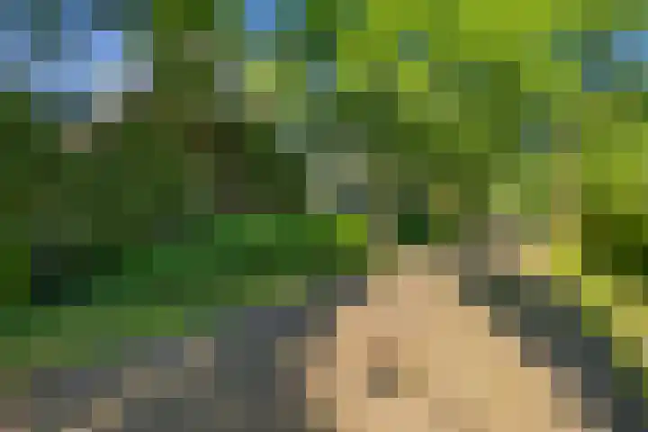 Lindenlaan 1 Sneek thumbnail 55