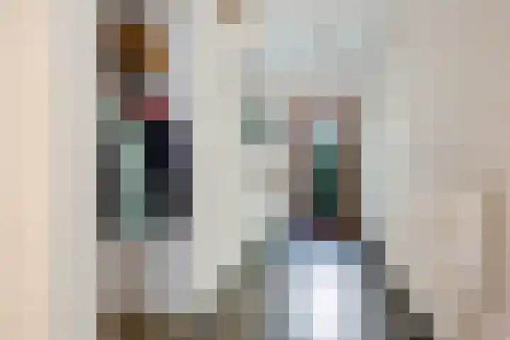 Lindenlaan 1 Sneek thumbnail 6