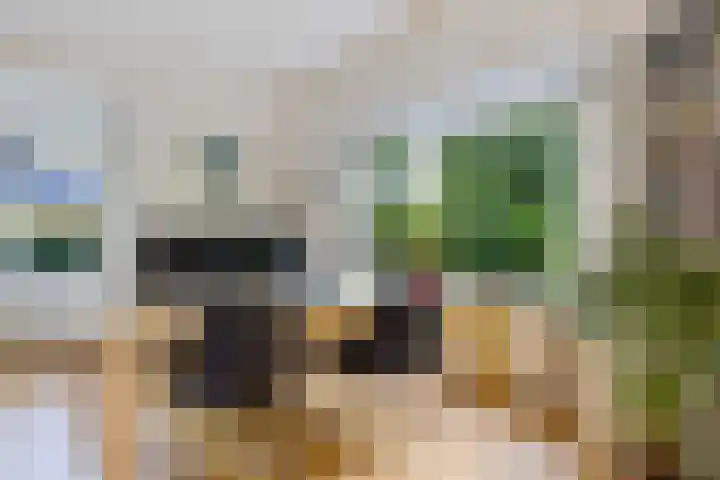 Lindenlaan 1 Sneek thumbnail 9