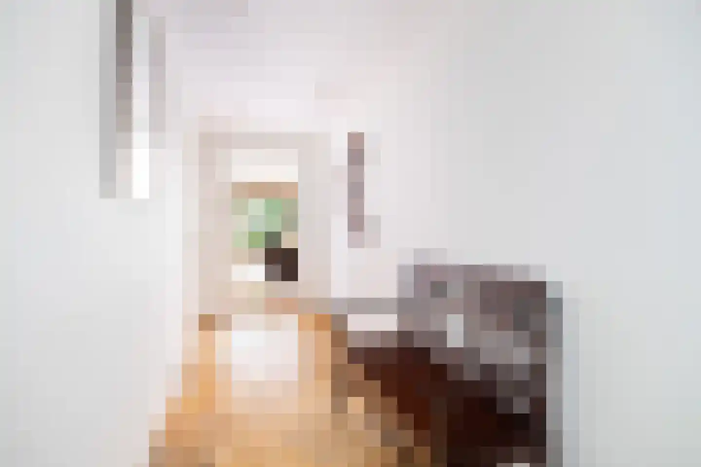 Lindenlaan 1 Zeist thumbnail 18