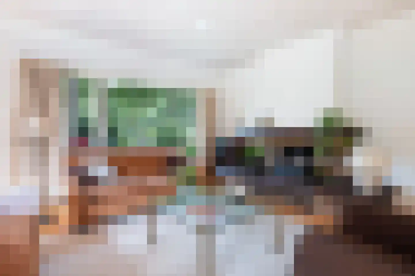 Lindenlaan 1 Zeist thumbnail 21