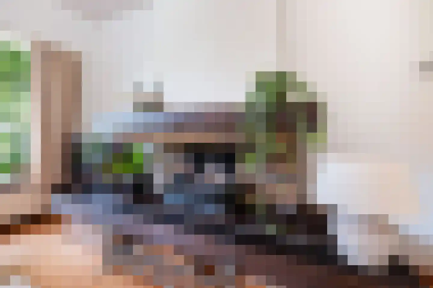Lindenlaan 1 Zeist thumbnail 23