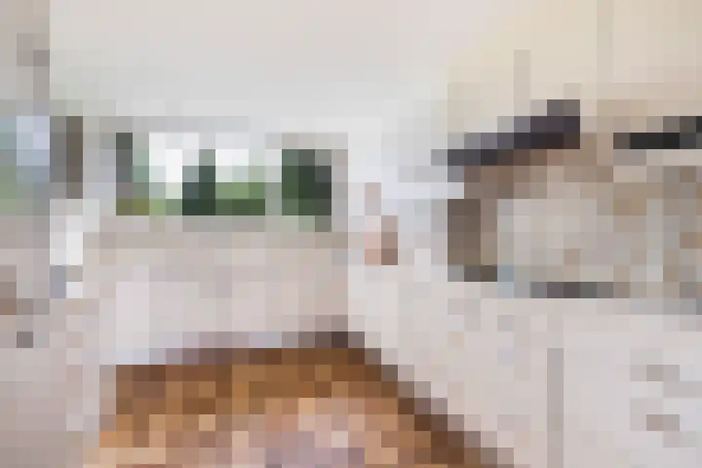 Lindenlaan 1 Zeist thumbnail 29
