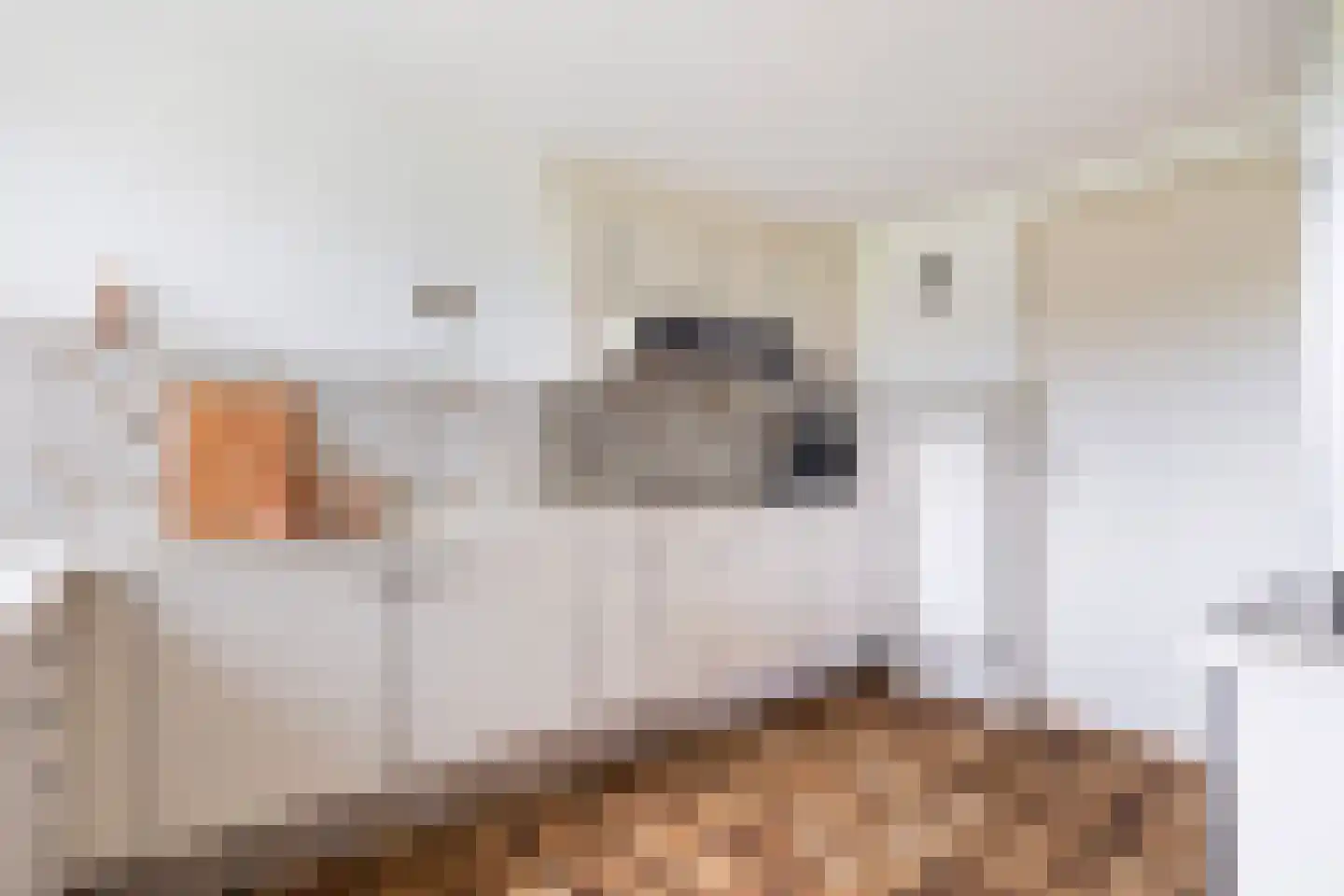Lindenlaan 1 Zeist thumbnail 30