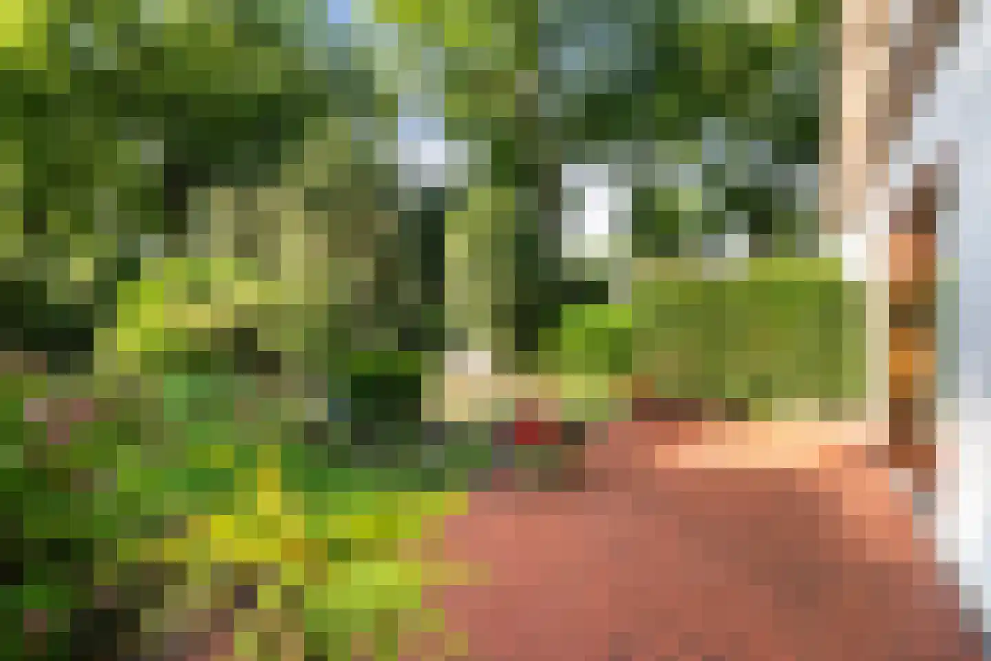 Lindenlaan 1 Zeist thumbnail 31