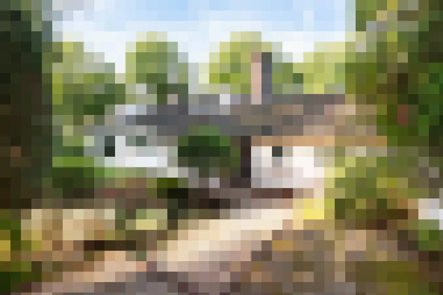Lindenlaan 1 Zeist thumbnail 38