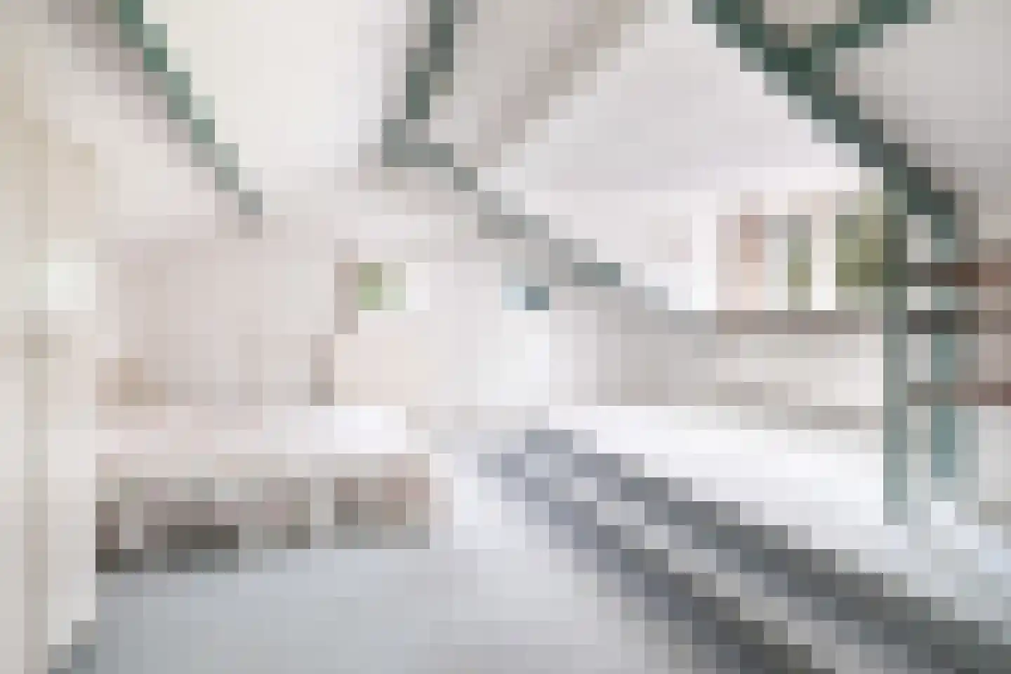 Lindenlaan 1 Zeist thumbnail 45