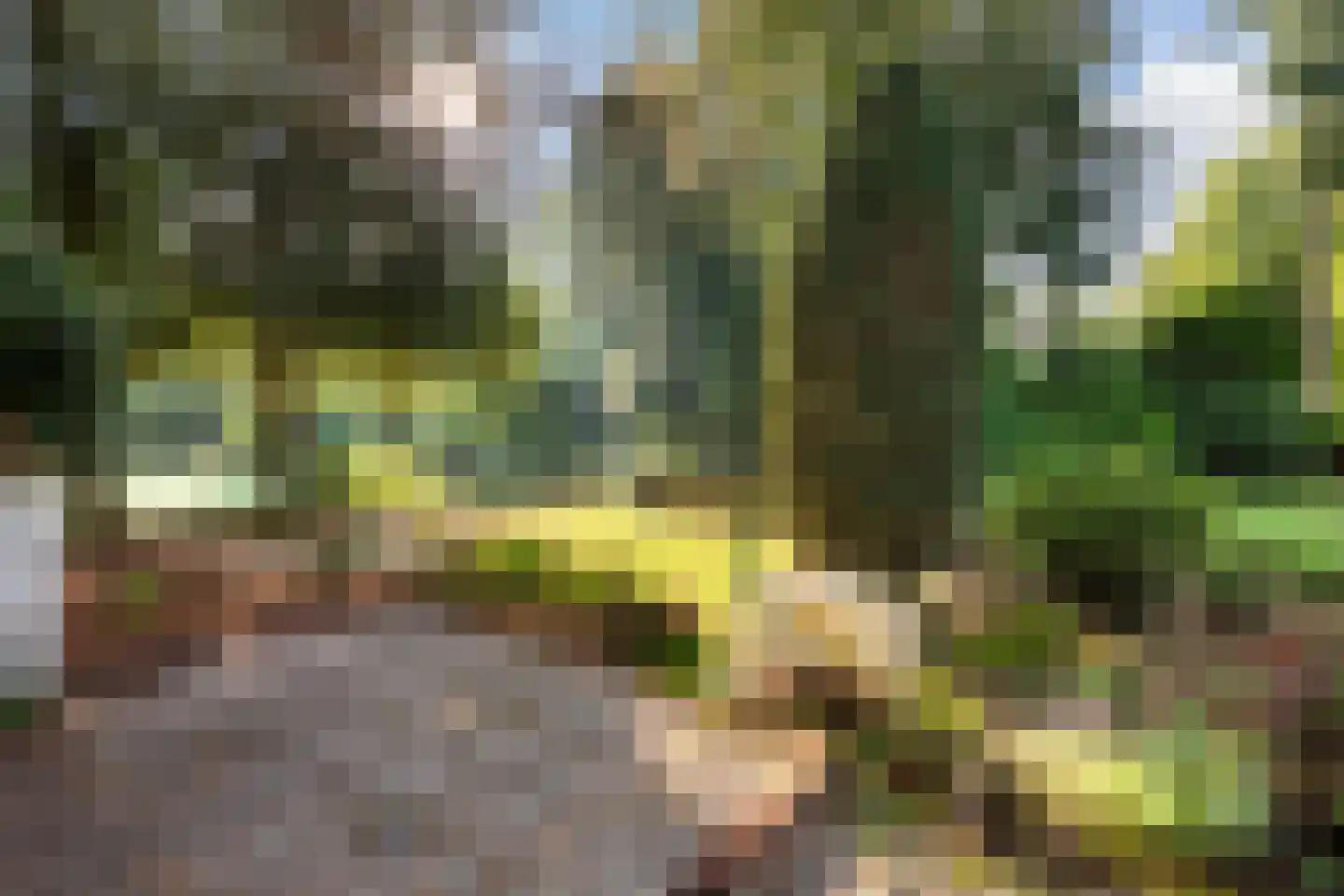 Lindenlaan 1 Zeist thumbnail 52
