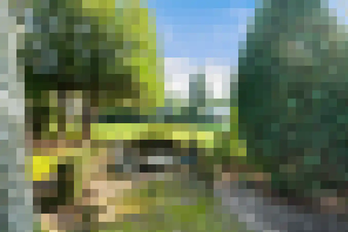 Lindenlaan 1 Zeist thumbnail 53