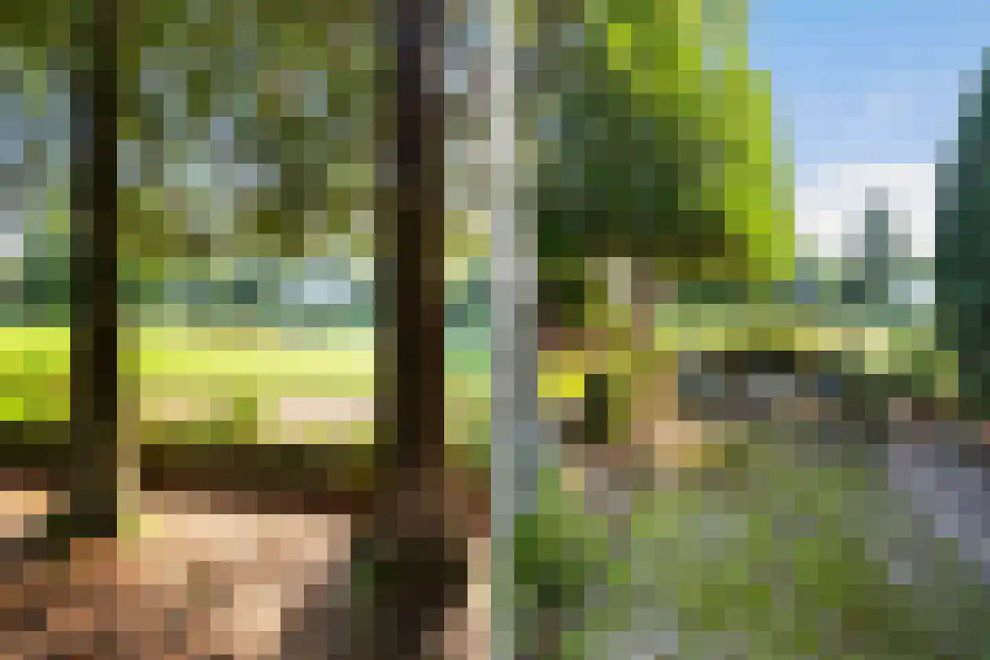 Lindenlaan 1 Zeist thumbnail 55