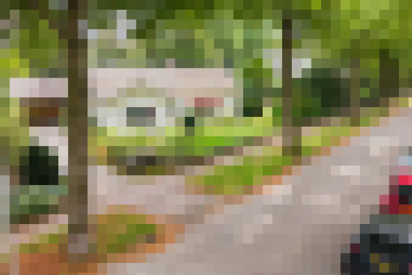 Lindenlaan 1 Zeist thumbnail 59