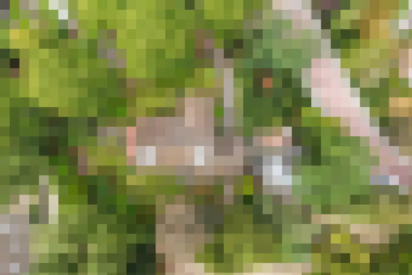 Lindenlaan 1 Zeist thumbnail 60