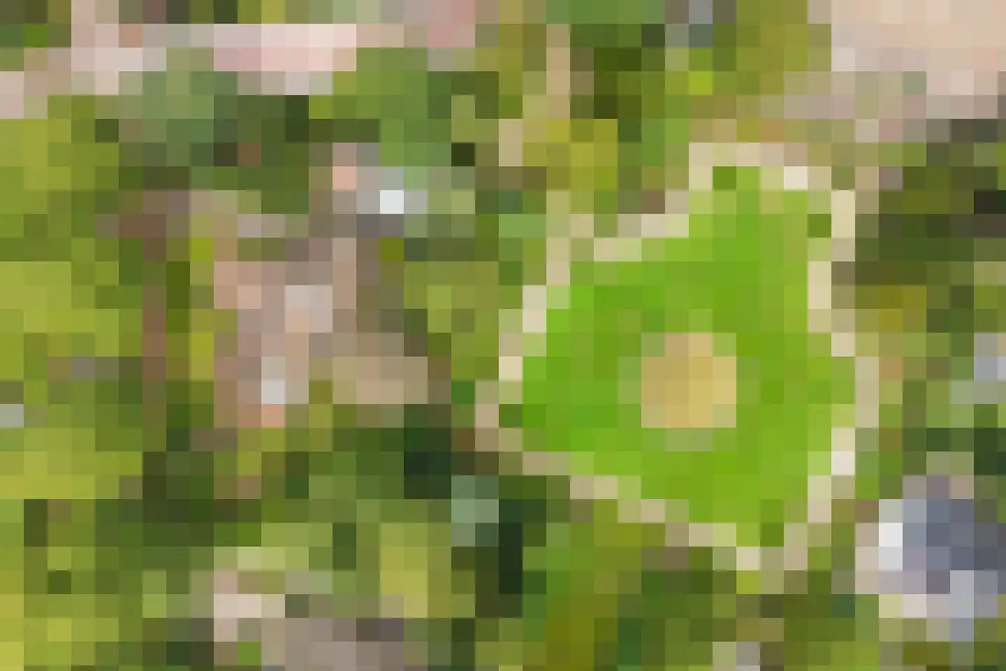Lindenlaan 1 Zeist thumbnail 61